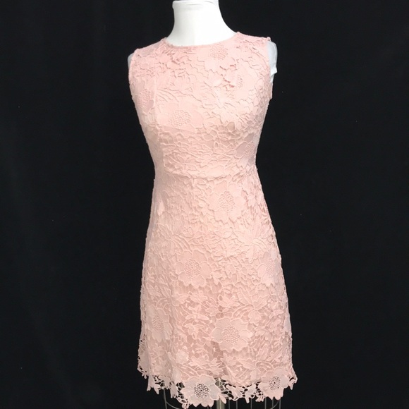 Ryan Michelle Dresses & Skirts - Women’s RYAN MICHELLE Lined Dress Ryan Michelle Dress Sz M Lace Pink Back Zip